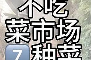 开云官网app登录截图0